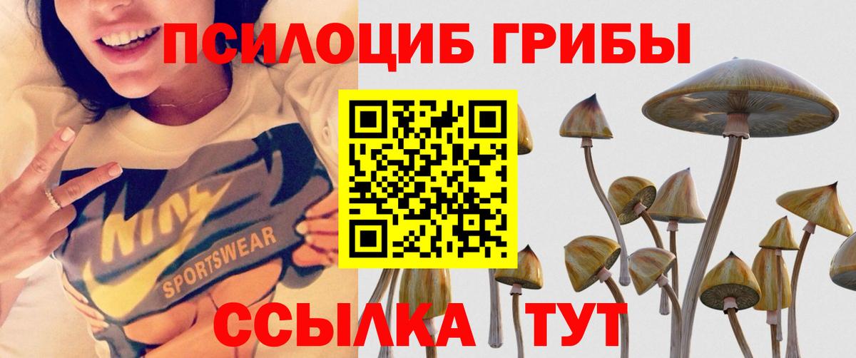 Галлюциногенные грибы ЛСД Стрежевой